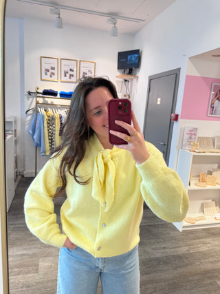 Yellow Louise - Gilet & scarf