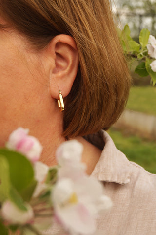 Colette Hoops - Earrings