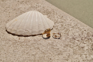 Double Beachy Shell - Ring