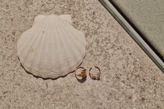 Double Beachy Shell - Ring