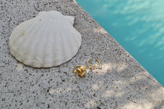 Double Beachy Shell - Ring