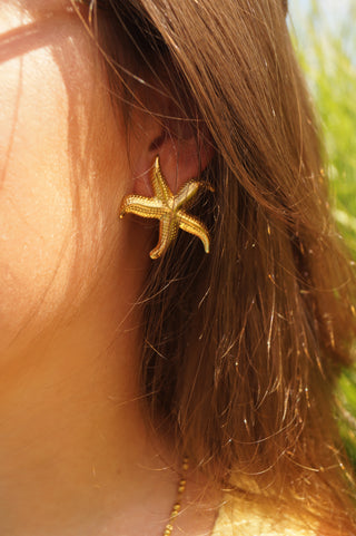 Starfish - Earrings
