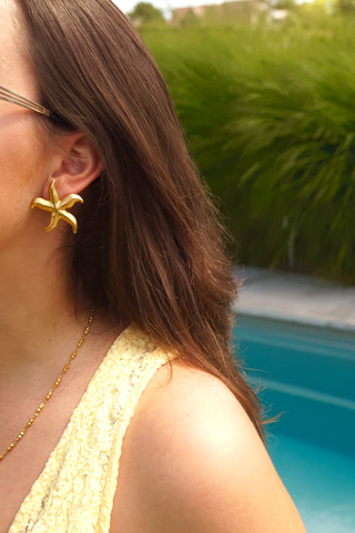 Starfish - Earrings