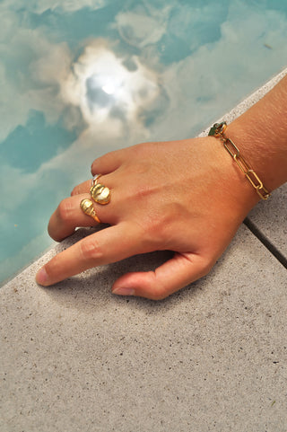 Double Beachy Shell - Ring