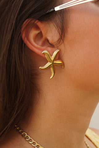 Starfish - Earrings