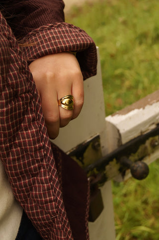 Chubby Claudile - Ring