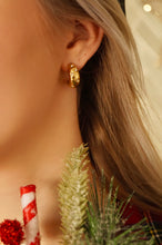 Load image into Gallery viewer, Starry Night - Earrings
