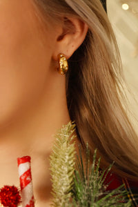 Starry Night - Earrings