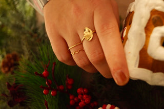 Snowy Rectangular - Ring