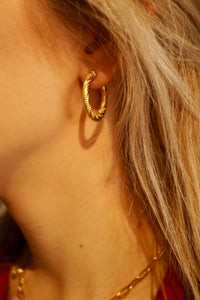 Sparkly Hoops - Earrings