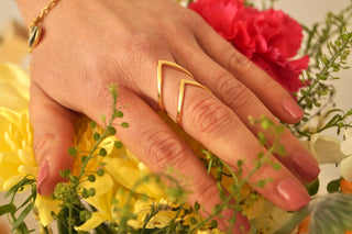 Cool Double Silver V - Ring