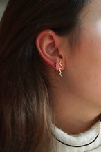 Load image into Gallery viewer, Long Silver Snake Eye - Earrings
