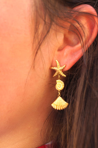 Starfish & Shells - Earrings