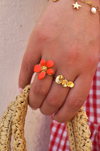 Julia Geometric - Ring