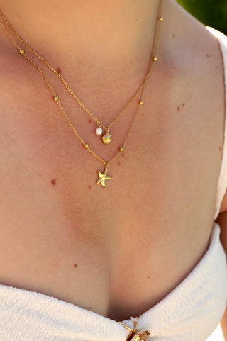 Double Seashell (2 in 1)  - Necklace