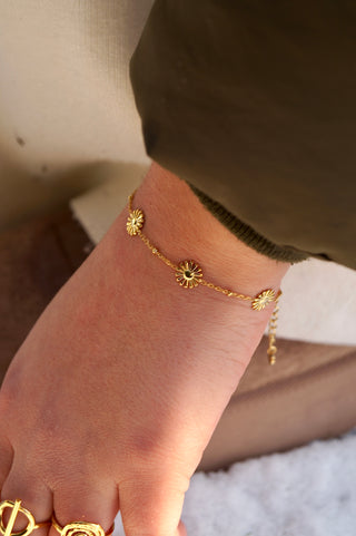 Multi Fine Daisies - Bracelet
