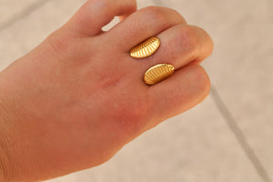 Double Open Shell - Ring