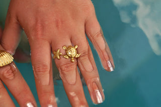 Turtle Starfish - Ring