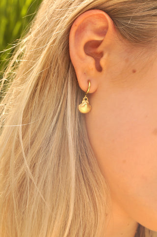 Shell Charms - Earrings