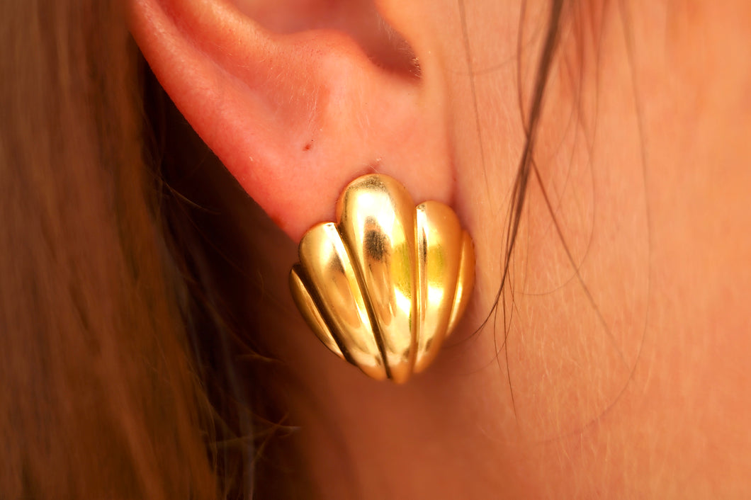 Summer Shells - Earrings
