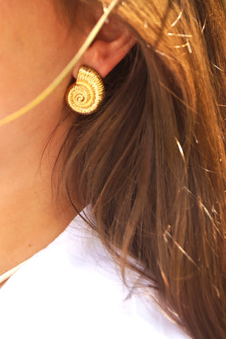 Big Shells - Earrings