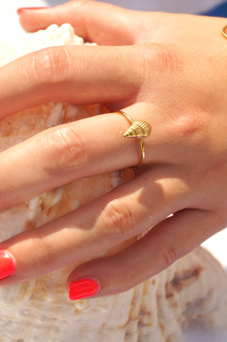 Small Beachy Shell - Ring
