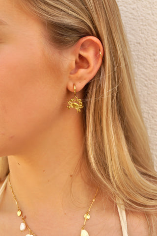 Cute Crab - Earrings
