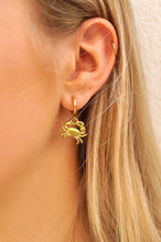 Load image into Gallery viewer, Cute Crab - Earrings
