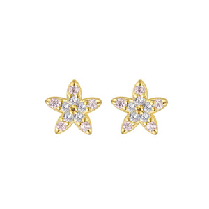 Sparkling Stars - Earrings