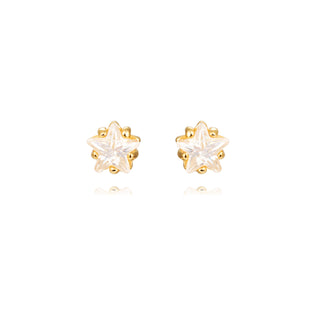 Diamond Star - Earrings