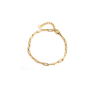 Sparkly Chains - Bracelet
