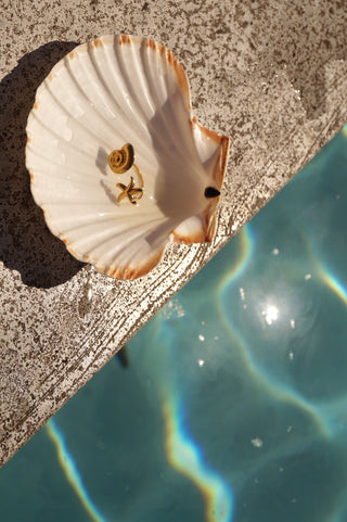 Double Shells - Ring