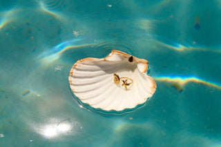 Double Shells - Ring