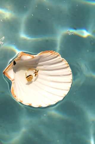 Double Shells - Ring