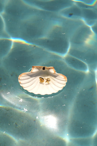 Double Shells - Ring