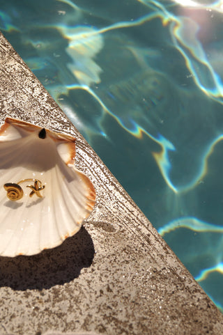 Double Shells - Ring